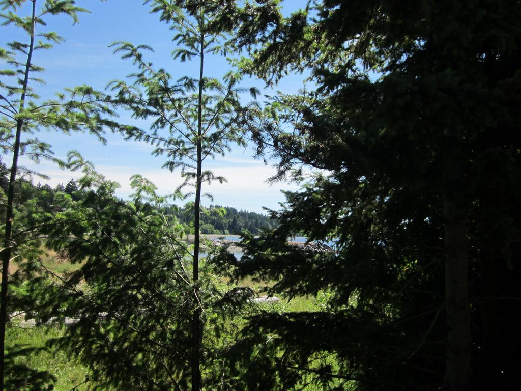 Oceanside Resort Powell River Bagian luar foto